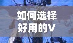 如何选择好用的VPN软件，深度分析与推荐
