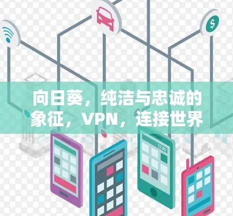 向日葵,纯洁与忠诚的象征,VPN,连接世界的新途径 向日葵,纯洁与忠诚的象征,VPN,连接世界的新途径