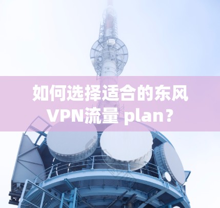 如何选择适合的东风VPN流量 plan? 如何选择适合的东风VPN流量 plan?