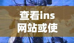 查看ins网站或使用VPN，具体取决于ins的用途和限制。以下是一些建议