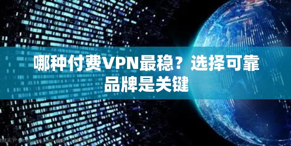 哪种付费VPN最稳？选择可靠品牌是关键