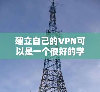 建立自己的VPN可以是一个很好的学习和实践机会，特别是如果你对网络安全或者技术感兴趣。以下是一个详细的步骤指南，帮助你建立自己的VPN