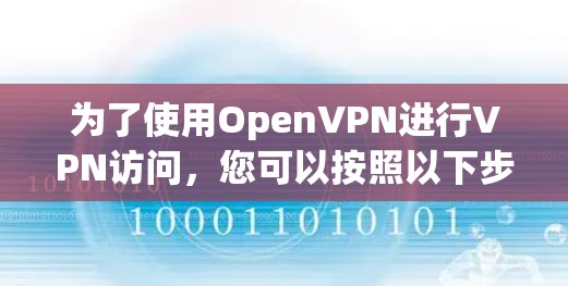 为了使用OpenVPN进行VPN访问，您可以按照以下步骤操作