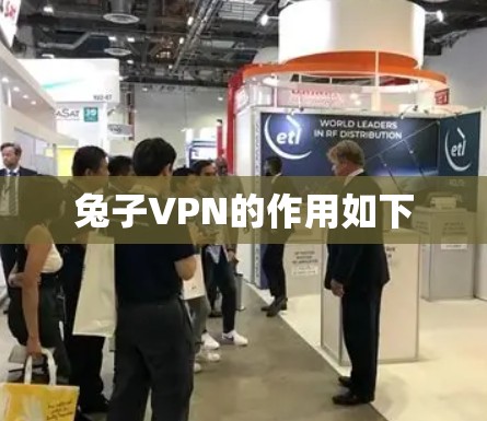 兔子VPN的作用如下